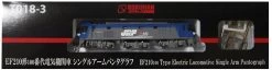 Rokuhan T018-3 Electric Locomotive Type EF210-100 Single Arm Pantograph (Z Scale)